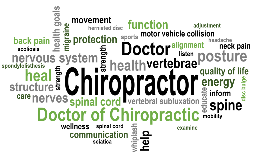 Understanding Spinal Health: The Foundation of Your Well-being